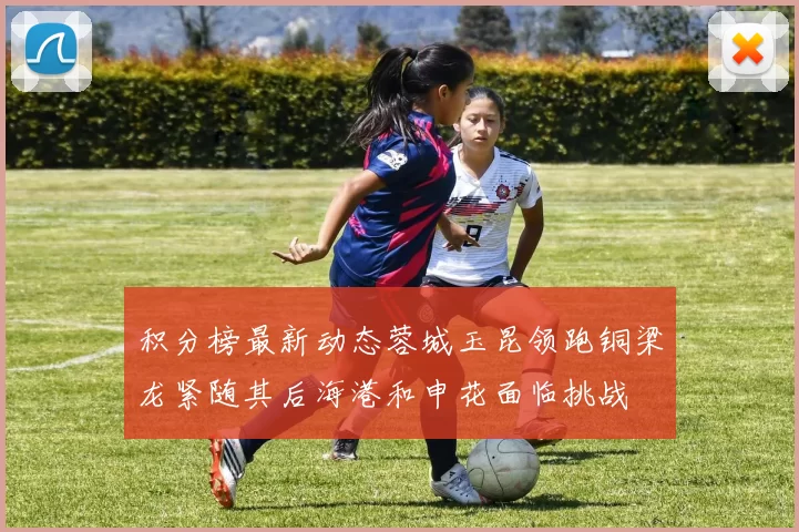 积分榜最新动态蓉城玉昆领跑铜梁龙紧随其后海港和申花面临挑战